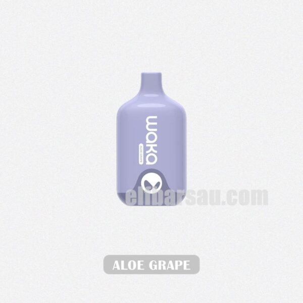 WAKA Smash 6000 Aloe Grape Refreshing Taste