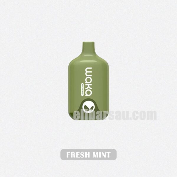 WAKA Smash 6000 Fresh Mint Cool and Refreshing