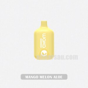 WAKA Smash 6000 Mango Melon Aloe Smooth and Refreshing