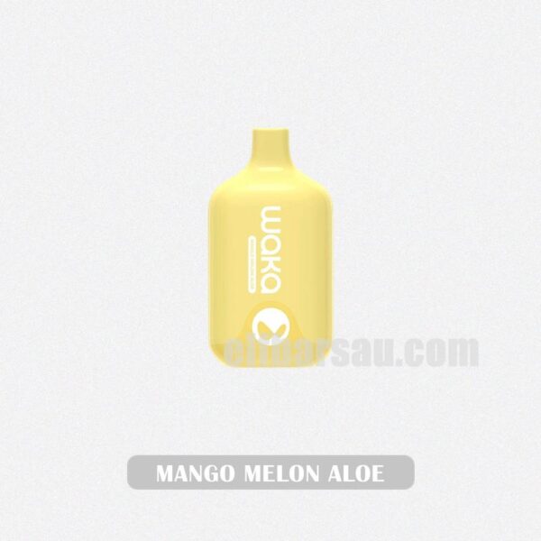 WAKA Smash 6000 Mango Melon Aloe Smooth and Refreshing