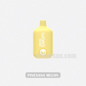 WAKA Smash 6000 Pinenana Melon Tropical Flavor