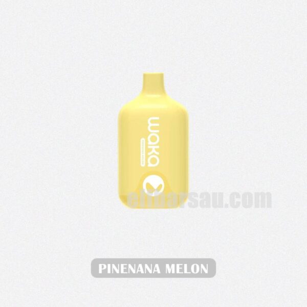 WAKA Smash 6000 Pinenana Melon Tropical Flavor