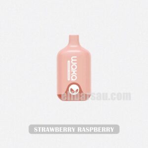 WAKA Smash 6000 Strawberry Raspberry Tart and Sweet