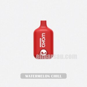 WAKA Smash 6000 Watermelon Chill Cool and Refreshing
