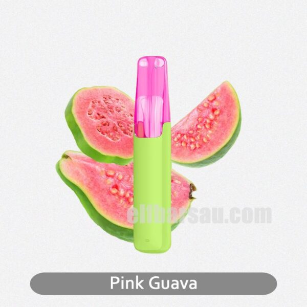 SnowPlus Dash Pink Guava Sweet and Exotic Guava Taste
