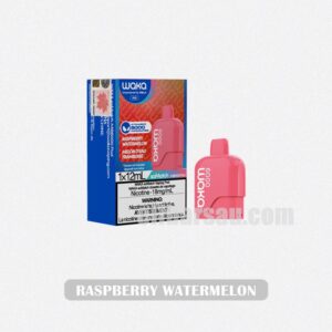 WAKA Somatch Pod 6000 Raspberry Watermelon Sweet Coolness