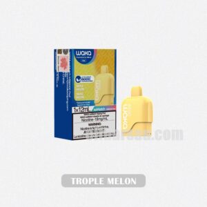 WAKA Somatch Pod 6000 Trople Melon Fruity Explosion