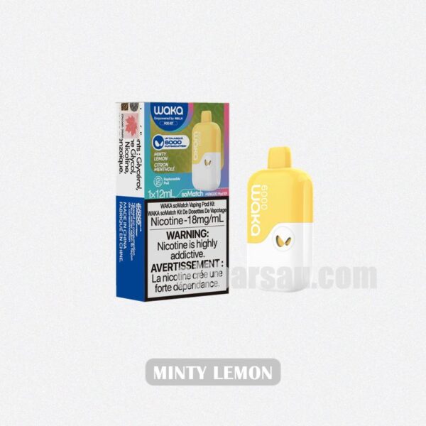 WAKA Somatch Kit 6000 Minty Lemon Refreshing Zing