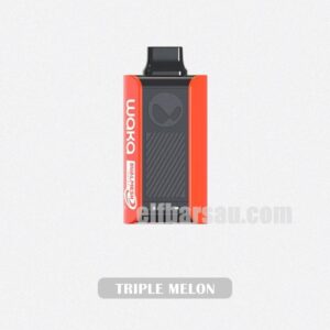 WAKA Sopro PA10000 Trople Melon Fruity Explosion