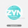ZYN Mini Dry Spearmint 1.5MG - Mild Spearmint Flavor with a Subtle Cooling Touch