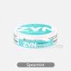 ZYN Mini Dry Spearmint 1.5MG - Mild Spearmint Flavor with a Subtle Cooling Touch - Image 2